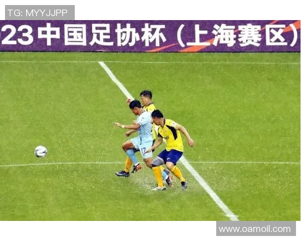 梅特兰野马对阵萨瑟兰德的精彩赛事分析与预测