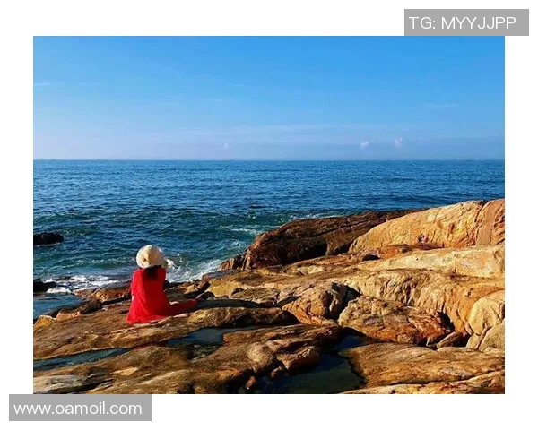 飞盘飞扬杭州极限运动队的成长与梦想之旅 飞盘飞扬杭州极限运动队的成长与梦想之旅